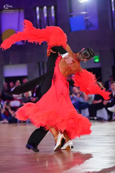 Dancesport competitor: Male dancer: black long-sleeved top and black trousers