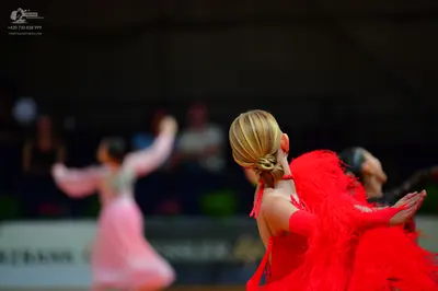 Dancesport competitor: Female dancer in foreground: red latin dress with voluminous red feathers or fri