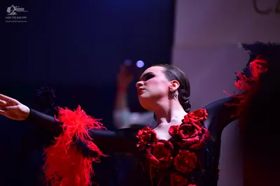 Dancesport competitor: Female dancer: black long-sleeved Latin dance dress with red fabric roses on the