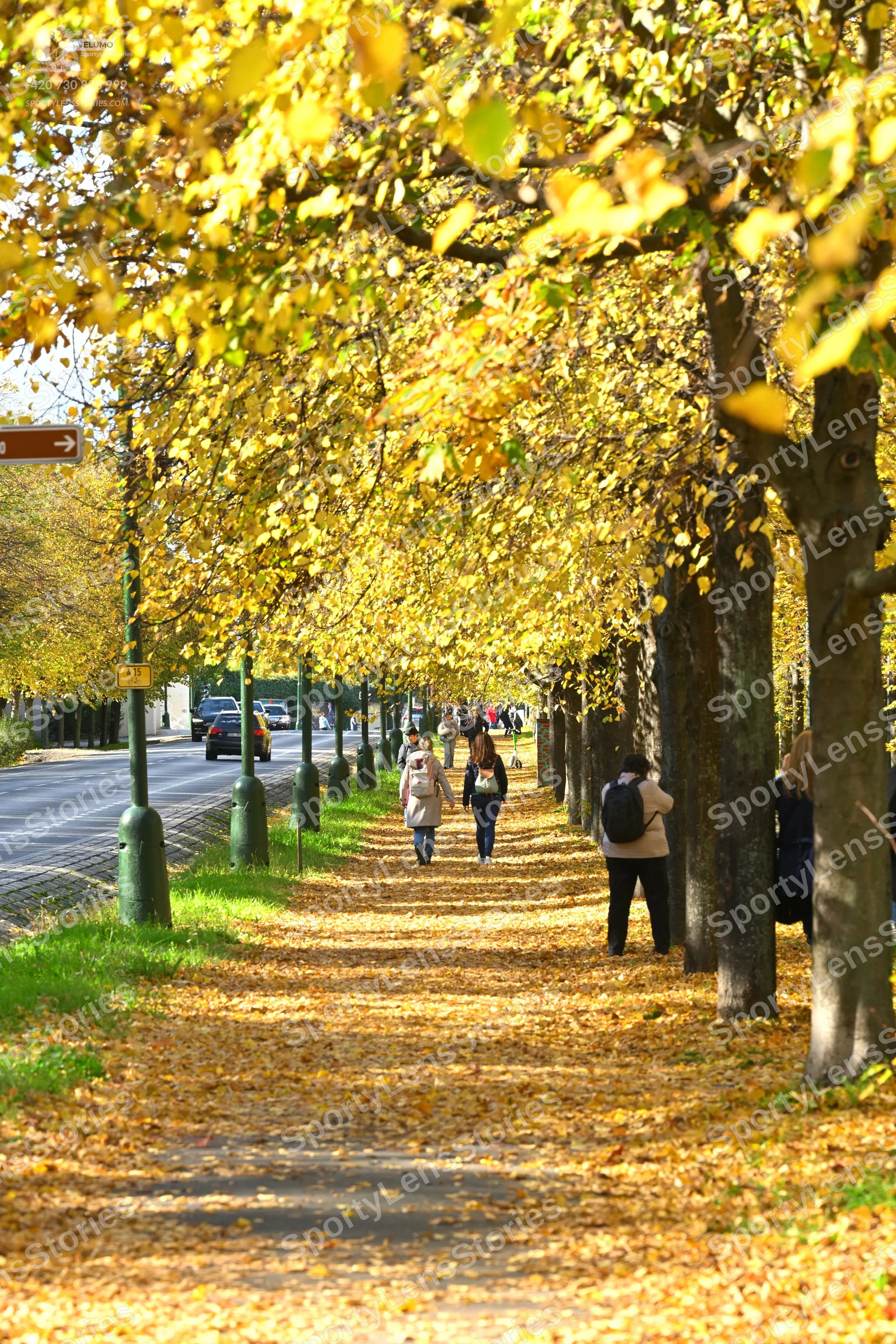 ToanSLF_7304.jpg