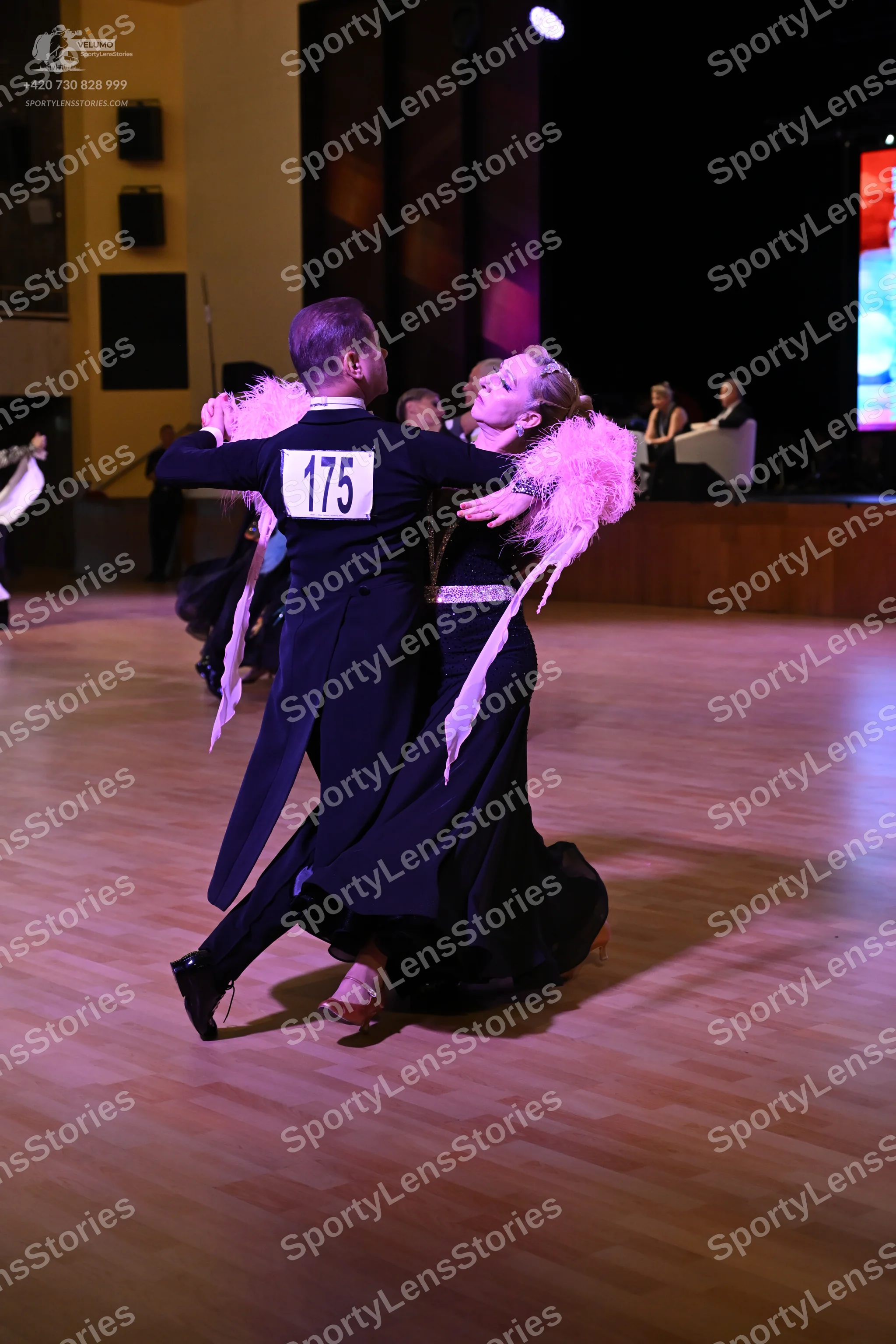 ToanSLF_8312.jpg