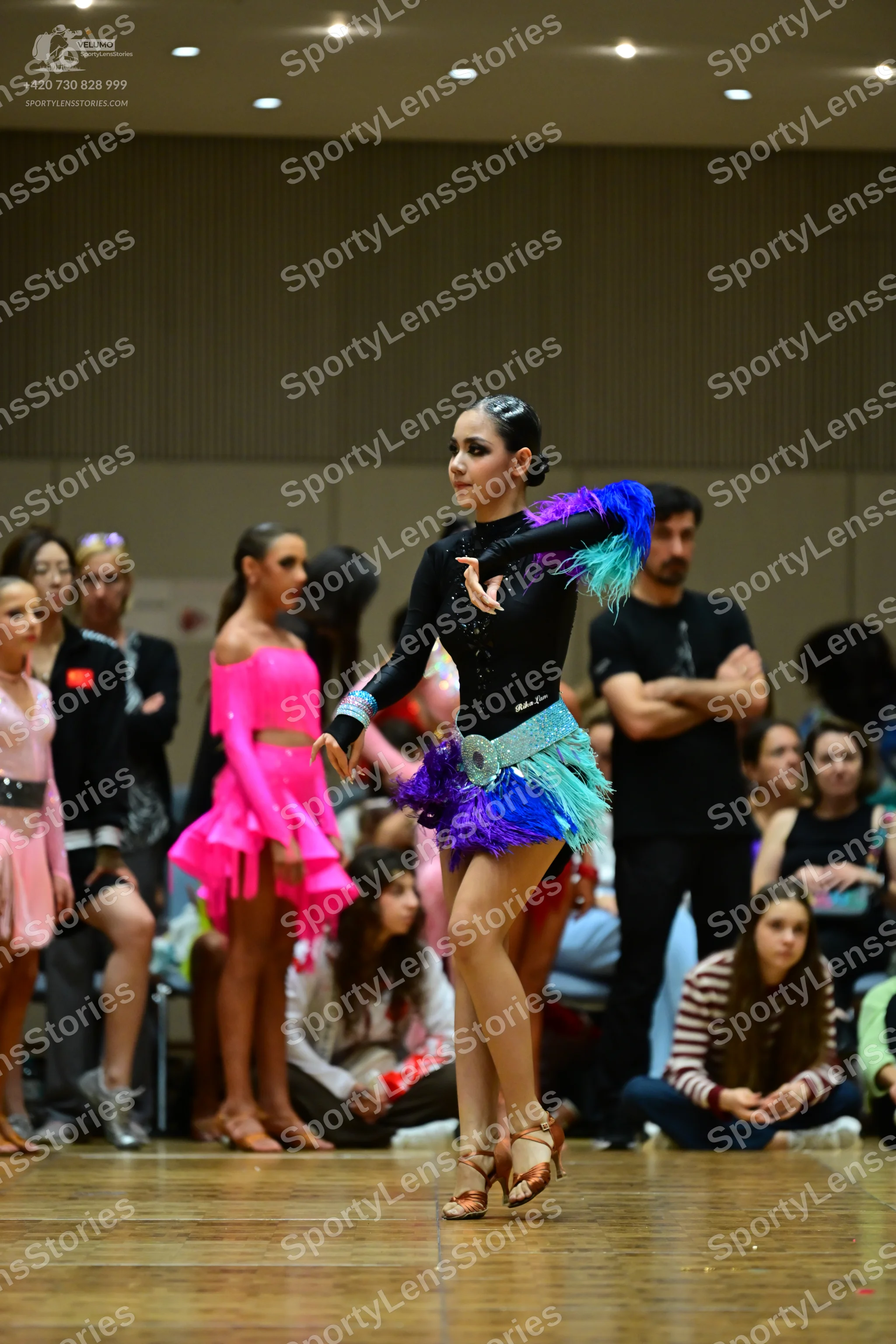 Dancesport competitor: Female dancer: black long-sleeved latin dress with colorful feather trim (blue,