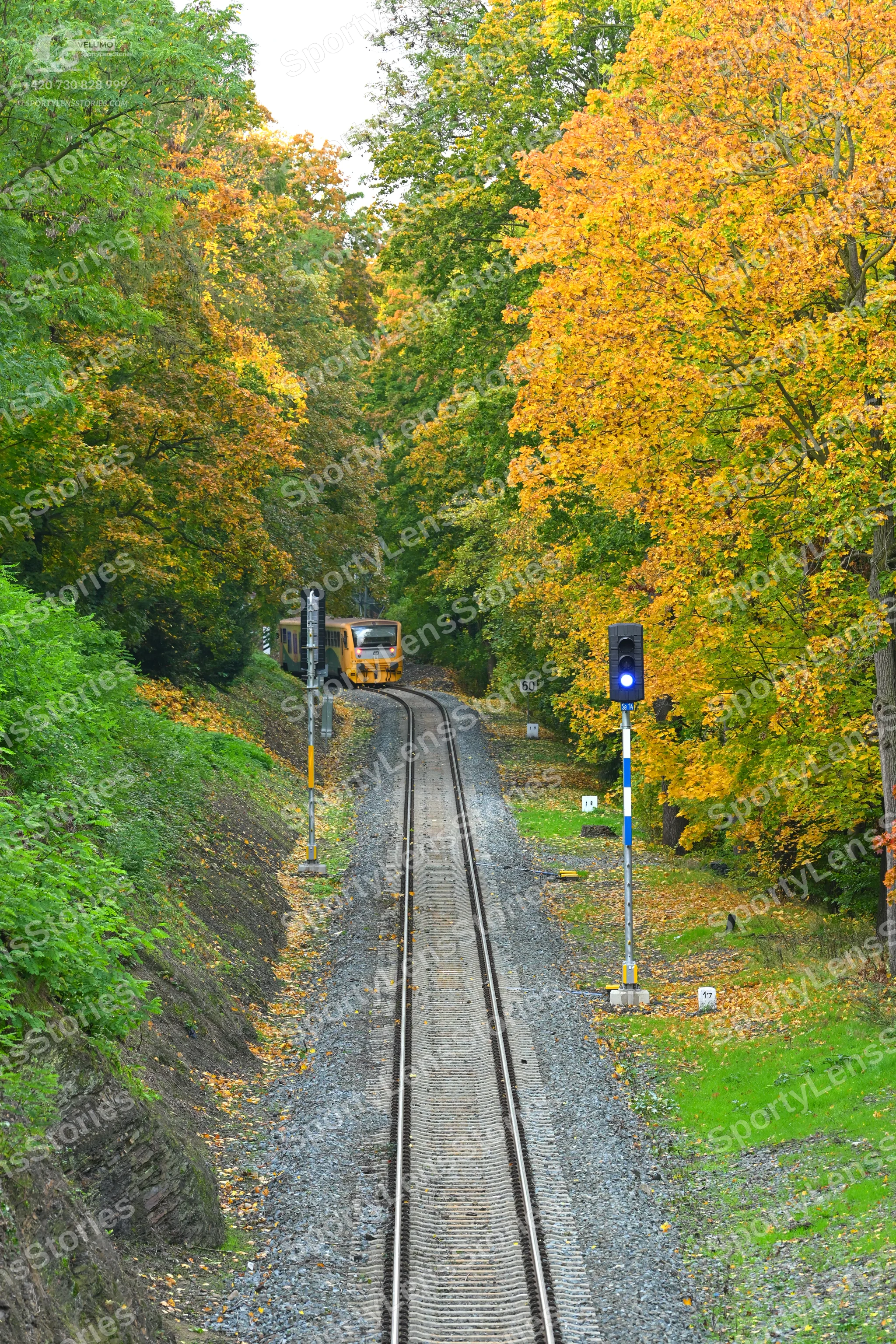 ToanSLF_7276.jpg