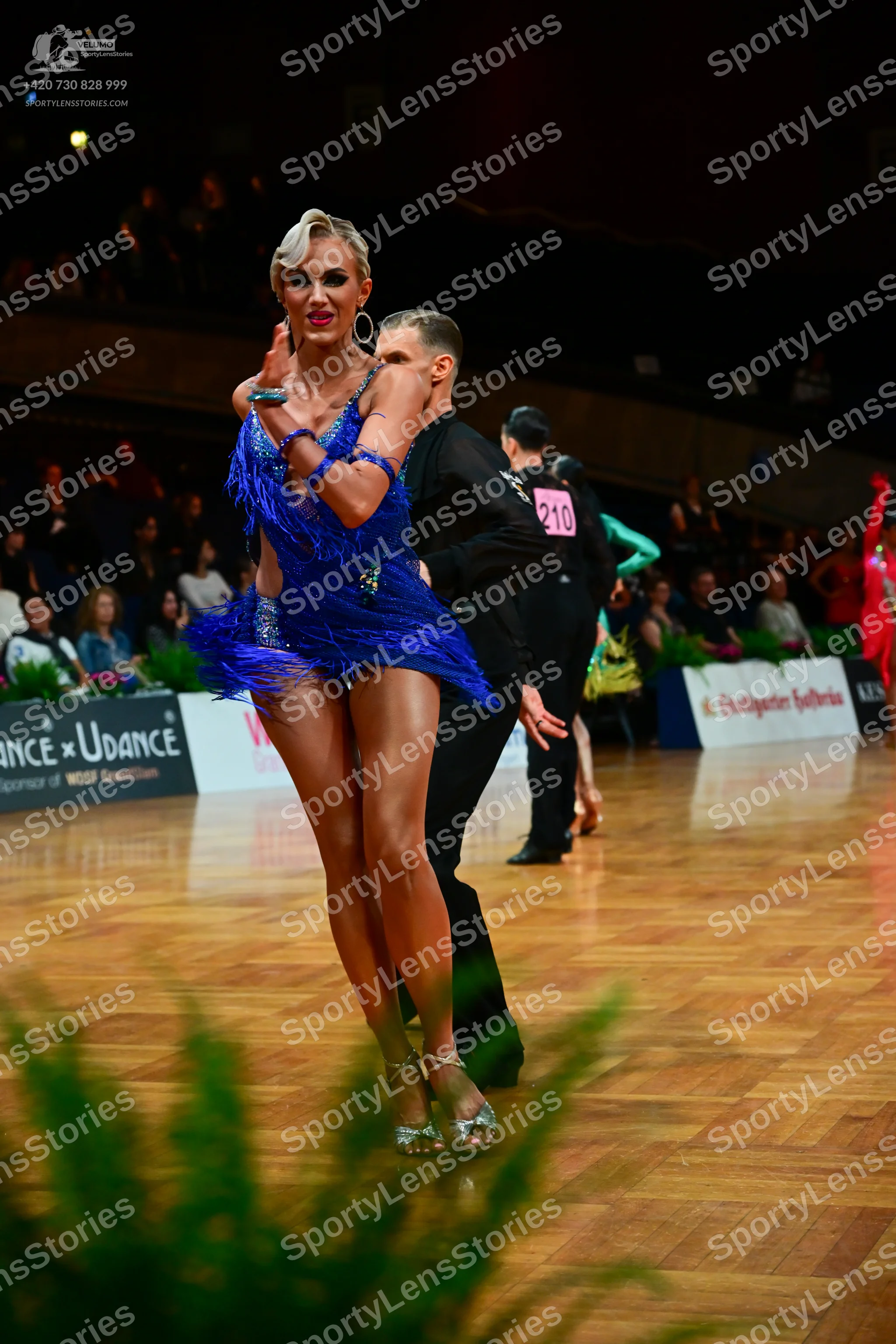 Dancesport competitor #210: Female dancer: royal blue Latin dress with fringe and sequins, featuring thin st