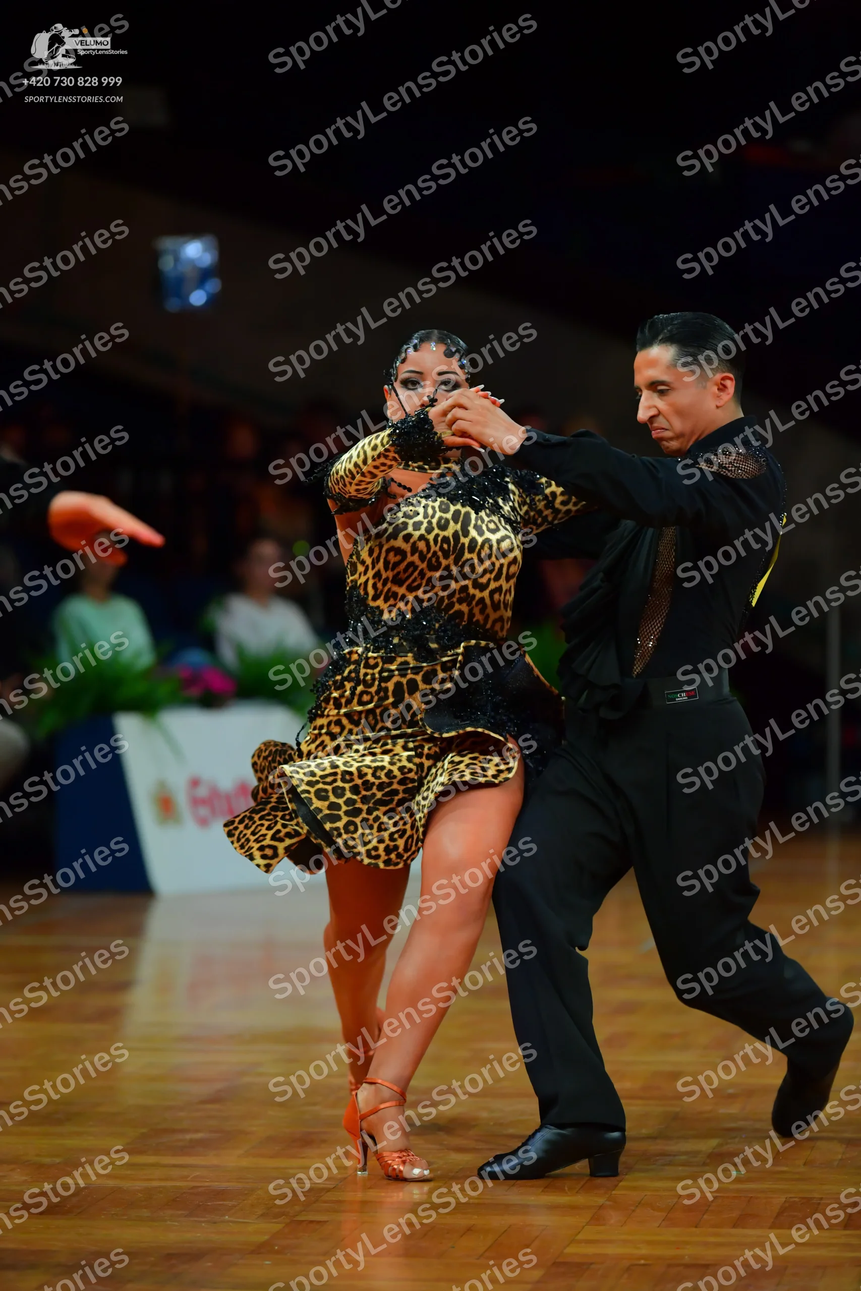 Dancesport competitor: Female dancer: leopard print Latin dress with dark lace or sequin details