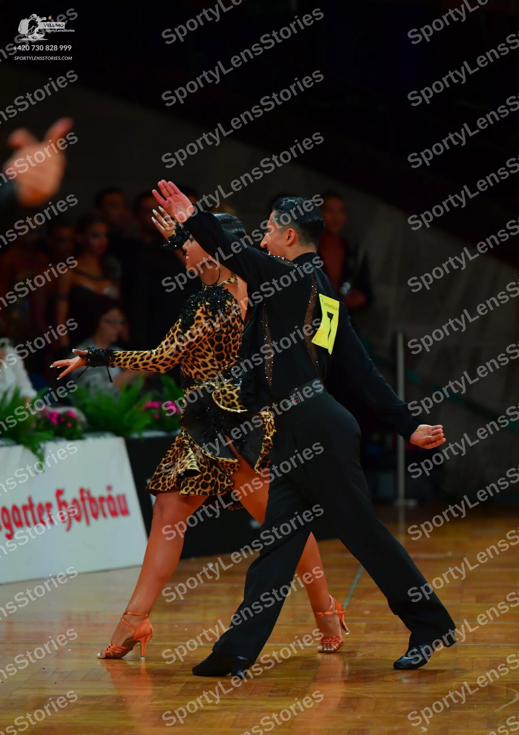 Dancesport competitor: Female dancer: leopard print latin dress with long sleeves