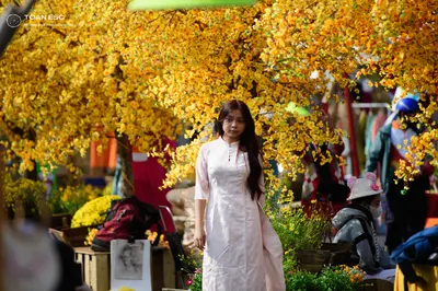 Dancesport competitor: No dancers are visible in their competition attire