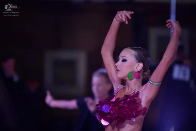 Dancesport competitor #328: Female dancer: magenta Latin dress with large, petal-like sequin embellishments,