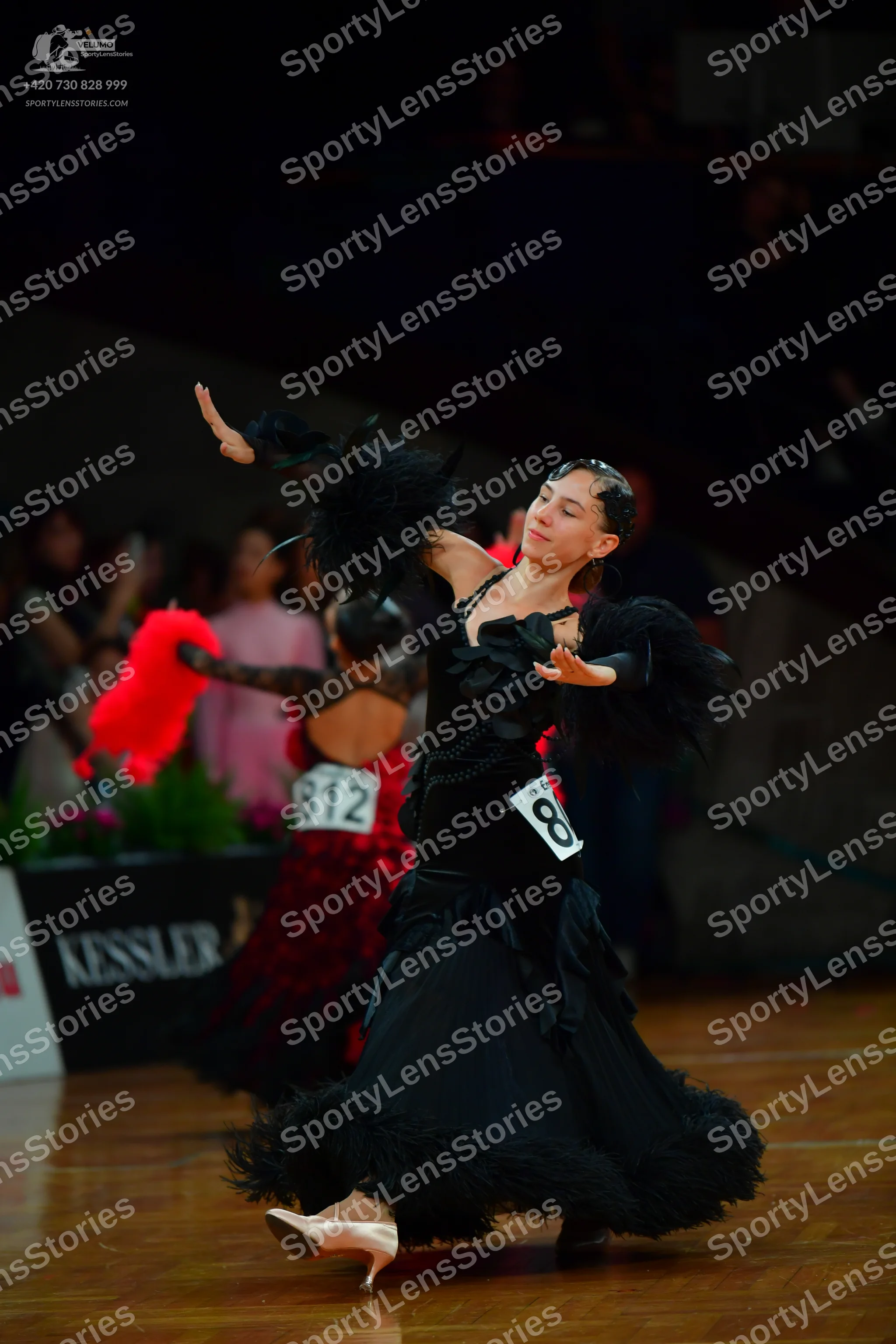 Dancesport competitor: Female dancer in foreground: black dress with large black feather or fringe trim