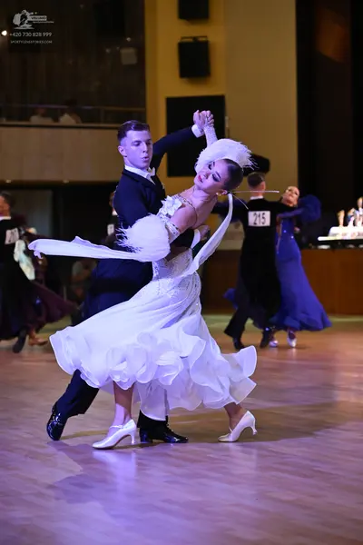 Dancesport competitor: ** Black tail suit
*   **Fabric:** Black sequins
*   **Style:** Tail suit with a