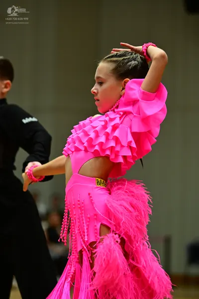Dancesport competitor #88: Female dancer: bright pink Latin dress with ruffles, long pink fringe, pink feat