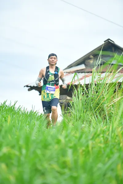 Marathon runner #3905: Runner 1: dark jersey with green and yellow accents, dark shorts, sunglasses, an