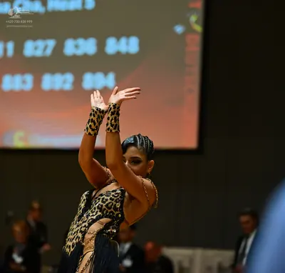Dancesport competitor: Female dancer: leopard print Latin dance costume with cutouts and rhinestone emb