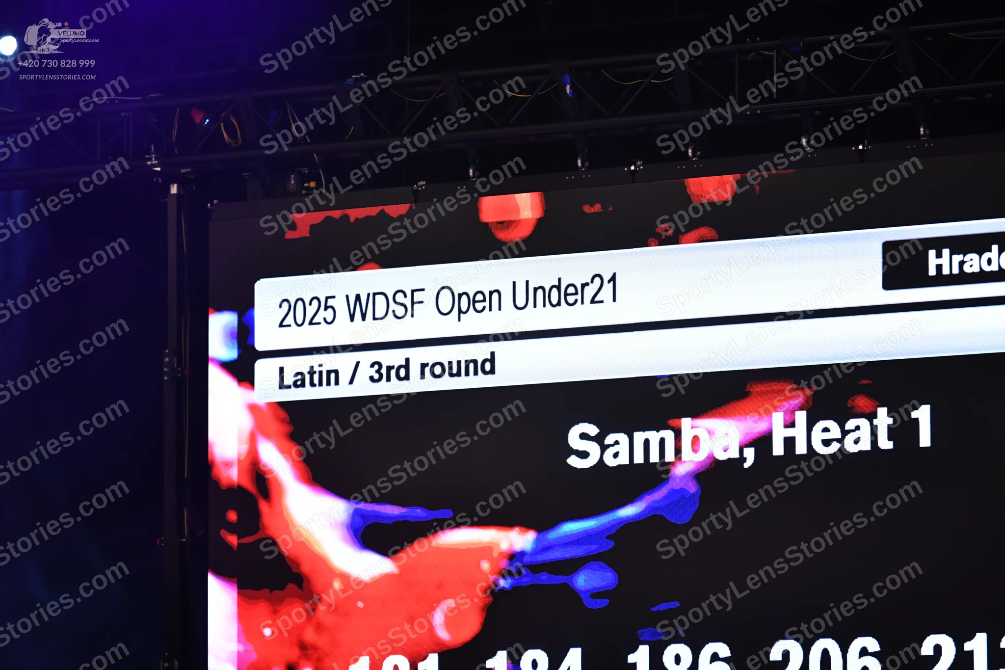 Dancesport competitor: No dancers are visible in the image