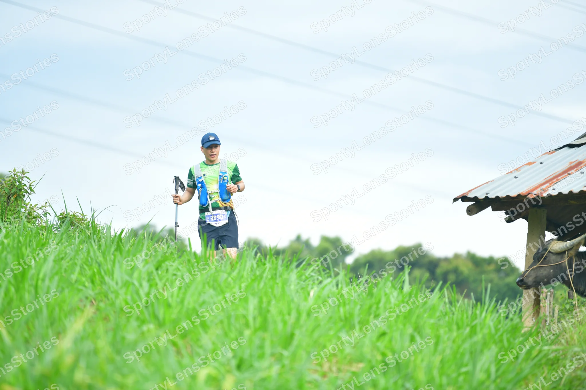 Marathon runner: Runner 1: blue cap, green and white jersey, dark shorts, trekking poles