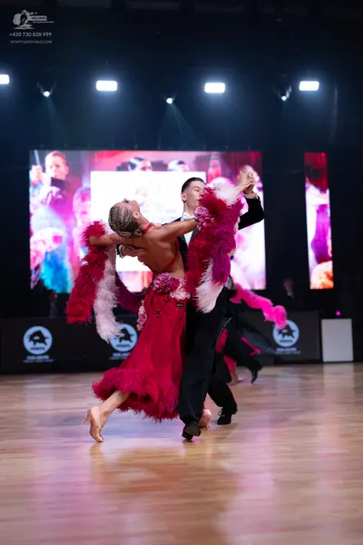 Dancesport competitor: Female dancer: magenta Latin dress with large pink and white feather/fringe acce