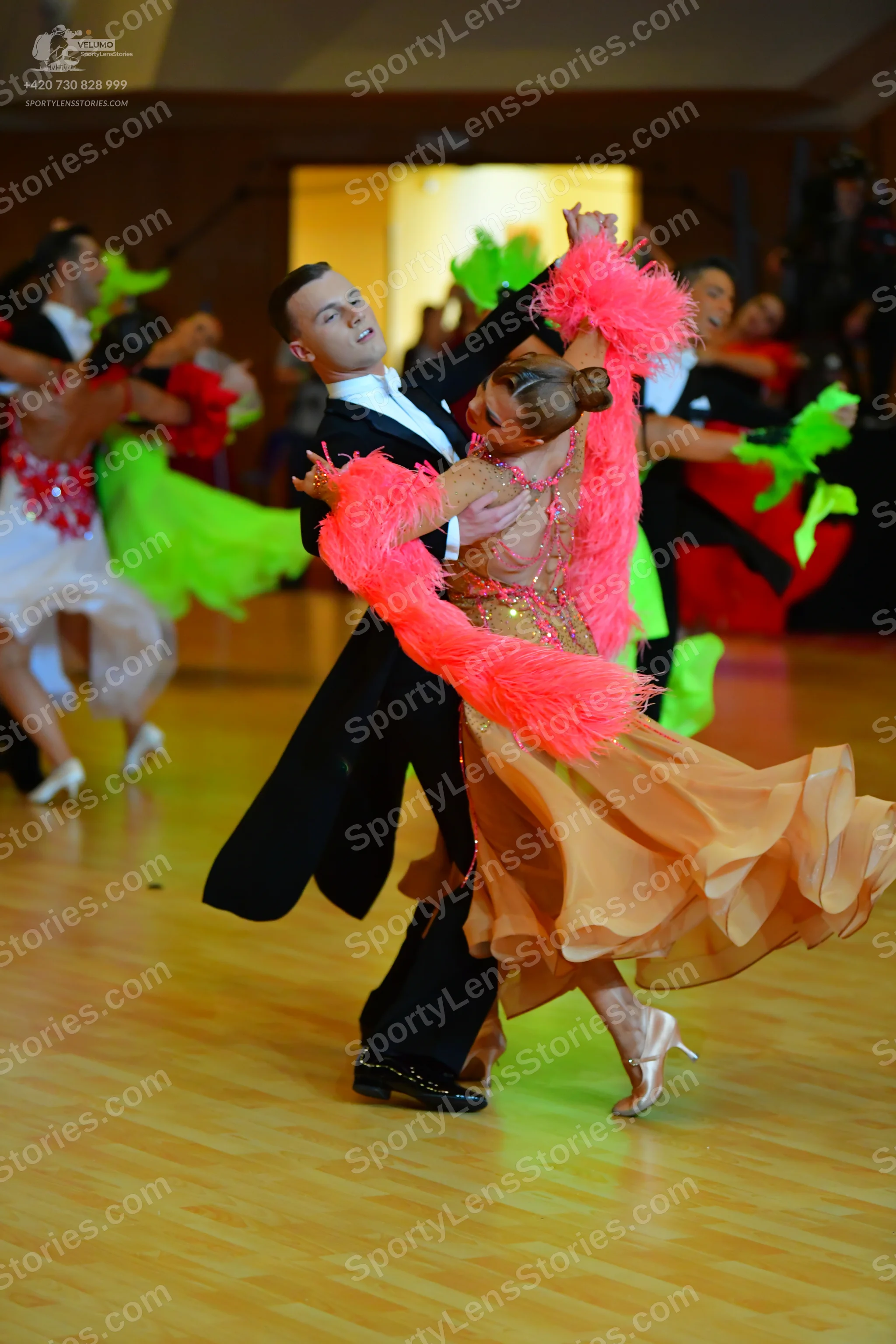 Dancesport competitor: Male dancer: black ballroom tailcoat, white shirt, and black bow tie