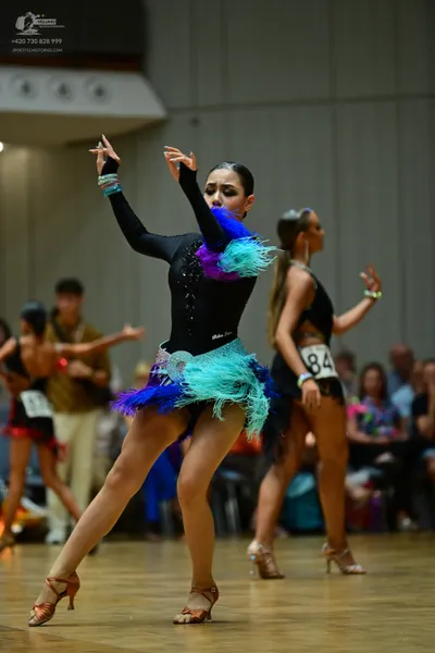 Dancesport competitor: ** Teal & Blue Latin Dress with Feathers
*   **Colors:** Primarily teal and shad