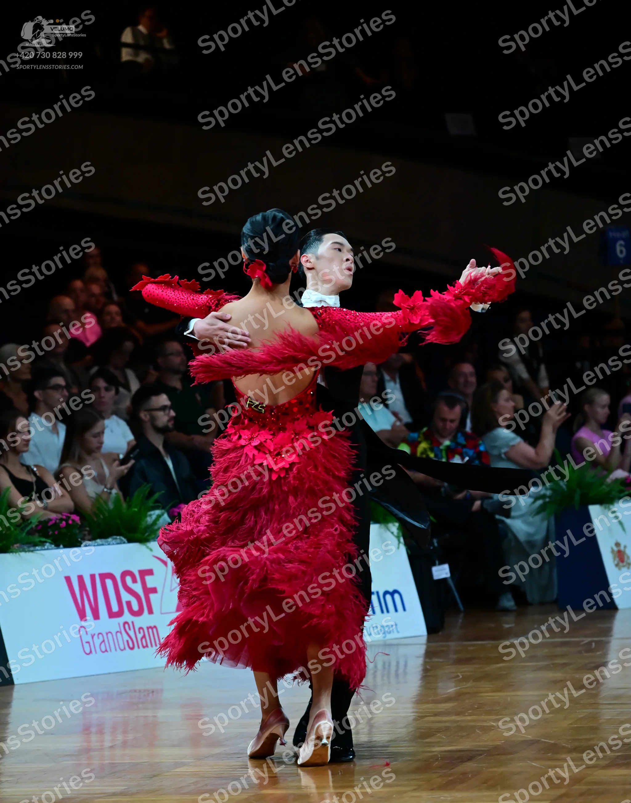 Dancesport competitor #75: Female dancer: red Latin dress with long sleeves and layers of red feathers or r