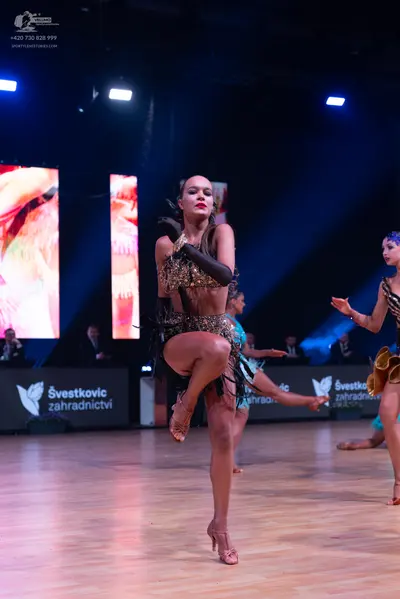 Dancesport competitor: Main dancer: bronze/gold sequin latin dress with fringe skirt