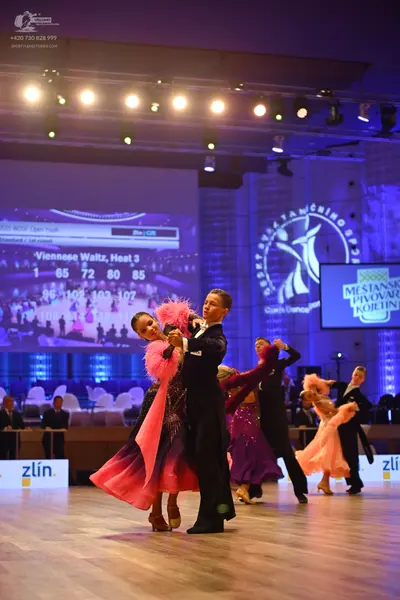 Dancesport competitor: Foreground female dancer: dark, embellished ballroom gown with a voluminous pink