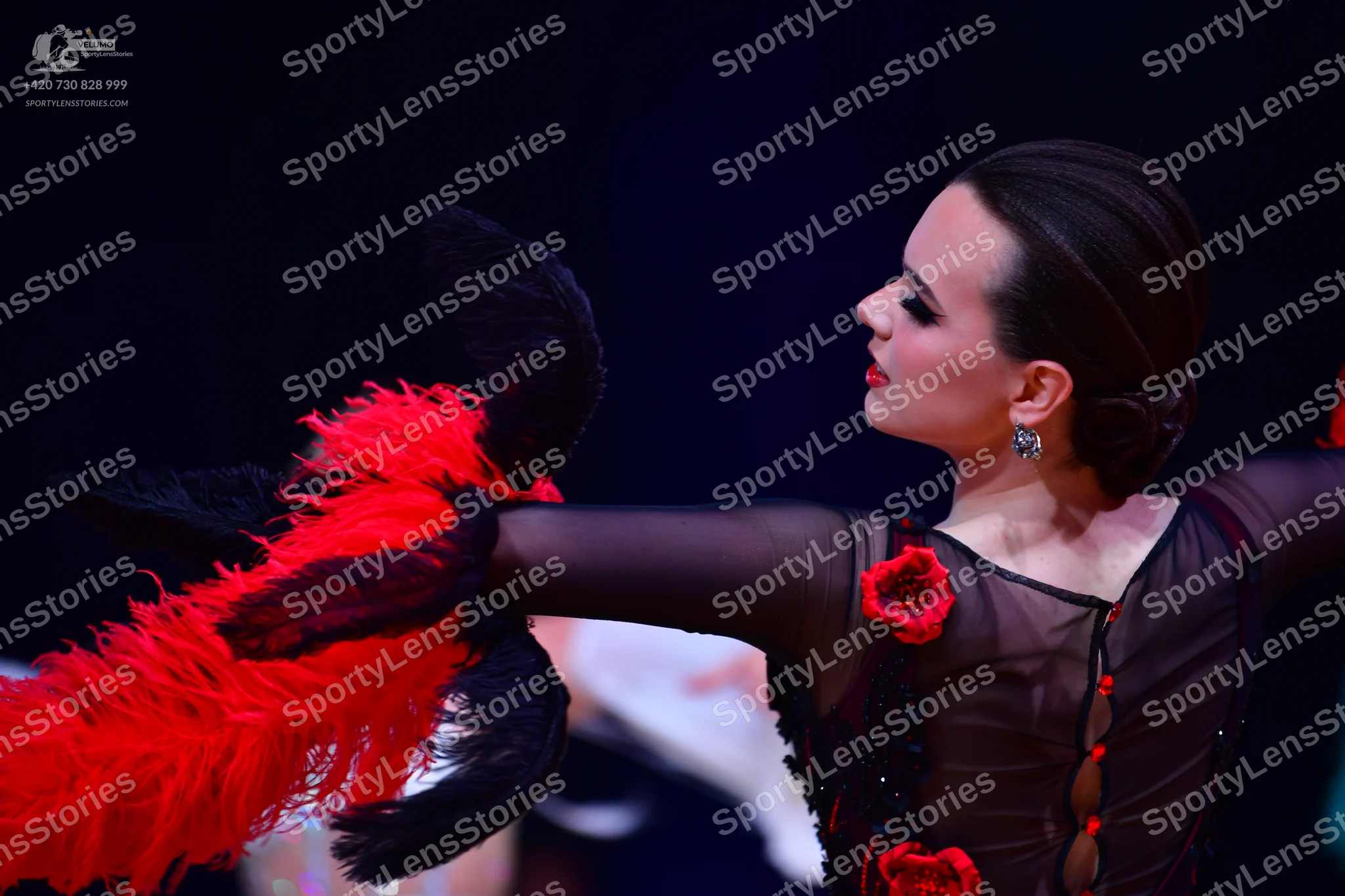 Dancesport competitor: Female dancer: black long-sleeved dress with sheer mesh sleeves and red floral e
