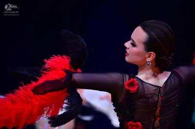 Dancesport competitor: Female dancer: black long-sleeved dress with sheer mesh sleeves and red floral e