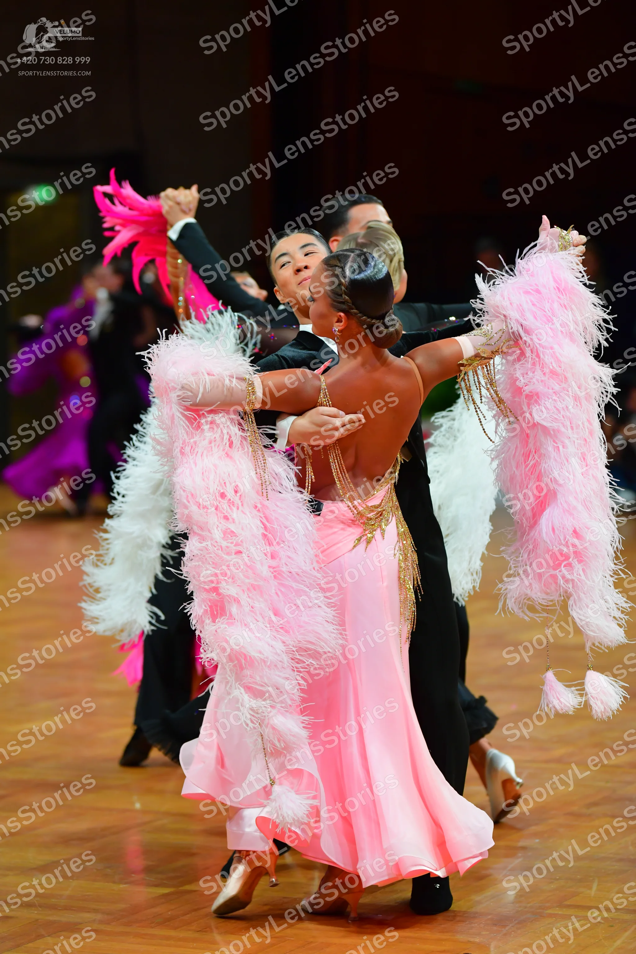 Dancesport competitor: Female dancer: light pink ballroom gown with voluminous pink and white feather-l