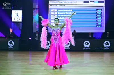 Dancesport competitor: Female dancer: bright pink ballgown with a detailed bodice and large pink feathe