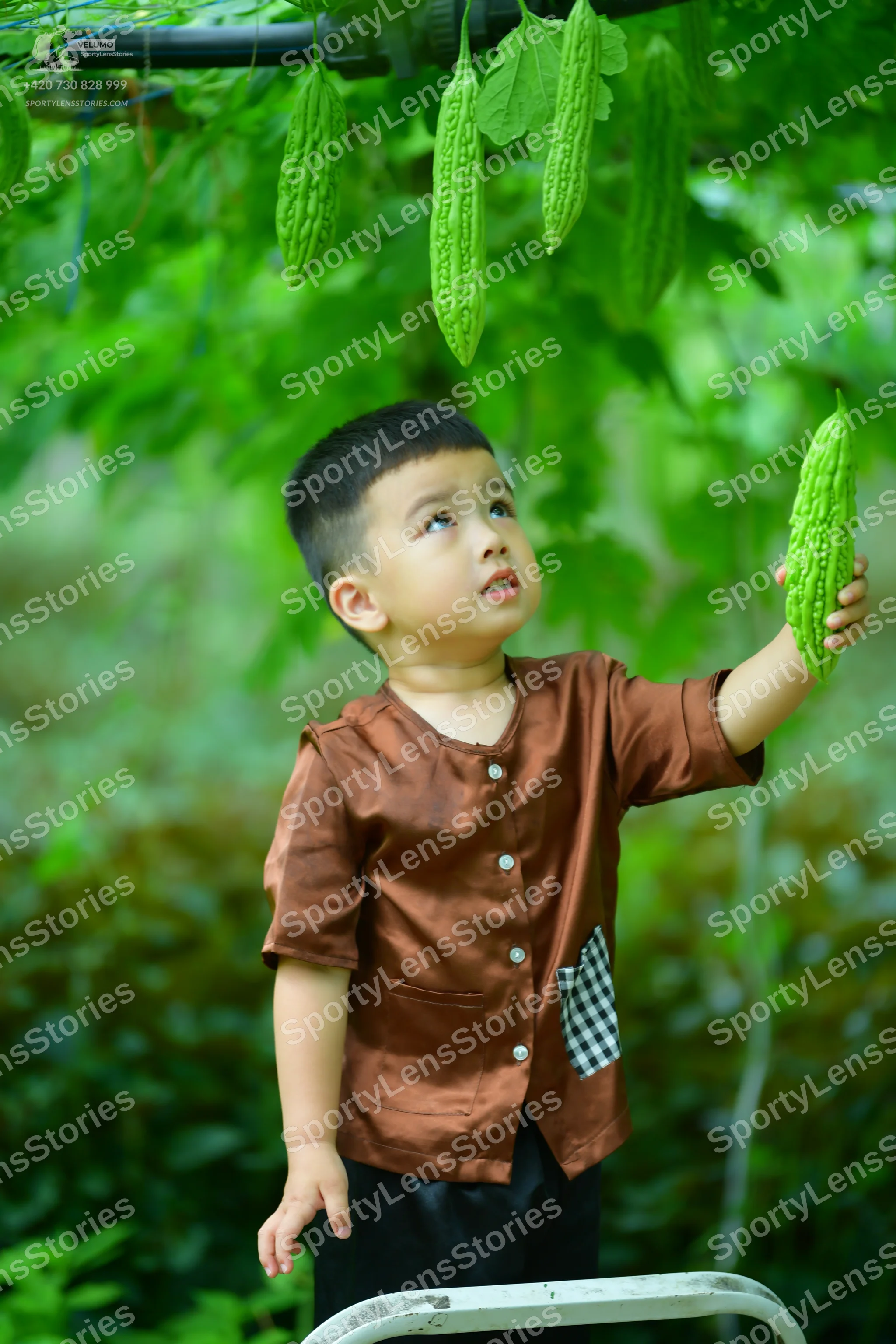 ToanSLS_6060.jpg