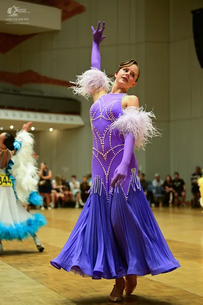 Dancesport competitor #344: Okay, let’s break down the costumes of the dancers in the photo:

**Dancer 1 (in