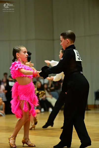 Dancesport competitor #56: Female dancer: bright pink Latin dance dress with ruffled sleeves and a fringed 