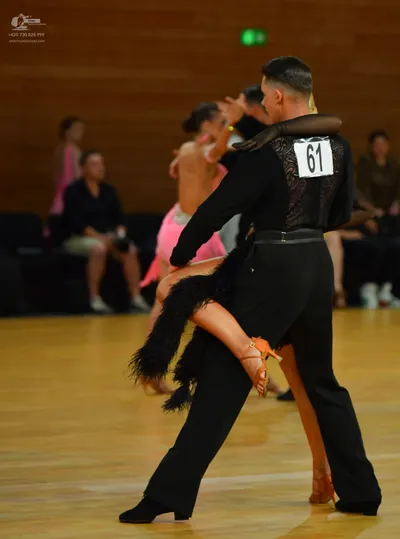 Dancesport competitor #61: Okay, here's a breakdown of the dancers' costumes in the photo, based on your re