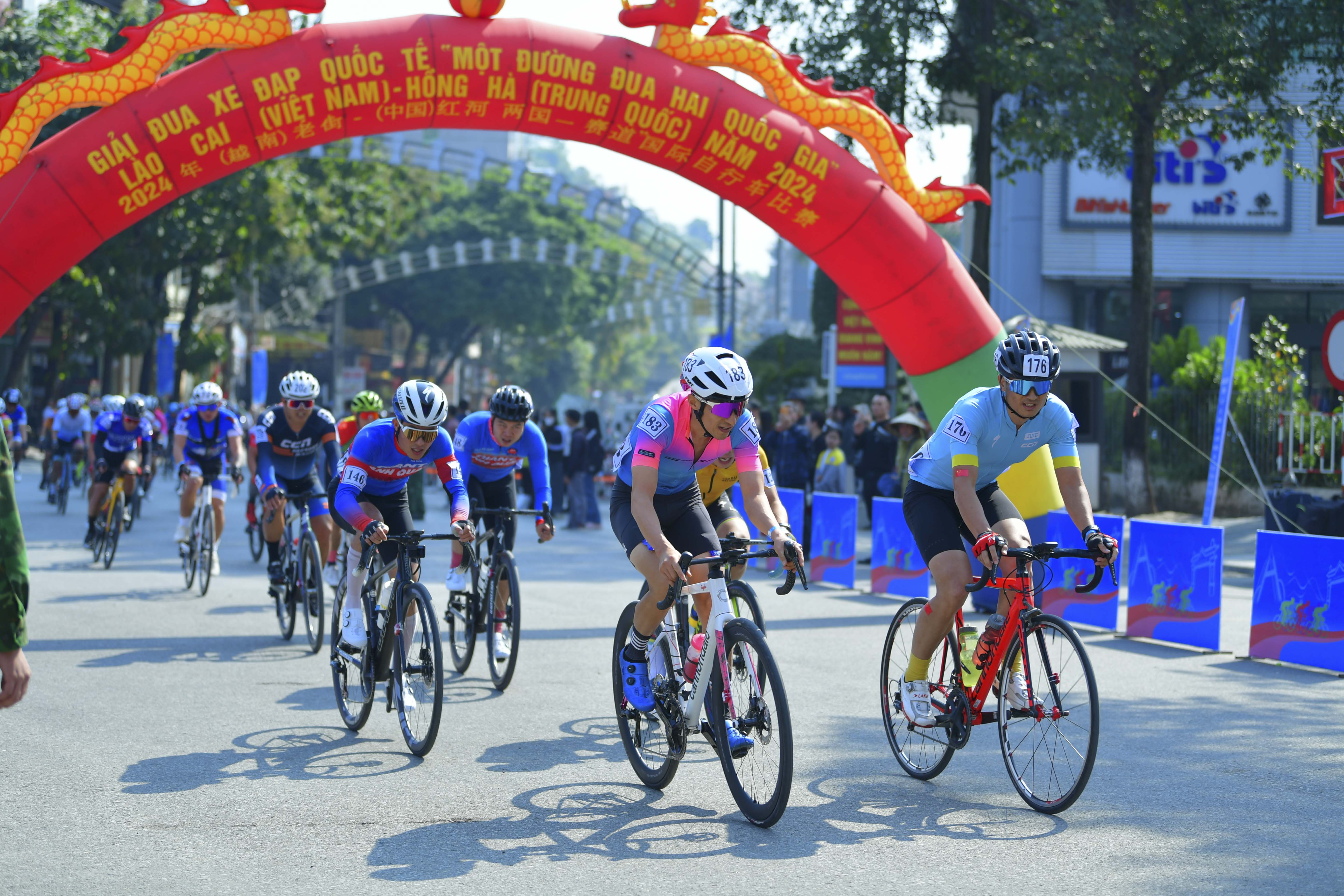 Cyclist: Cyclist 176: Yellow jersey with black sleeves, black shorts