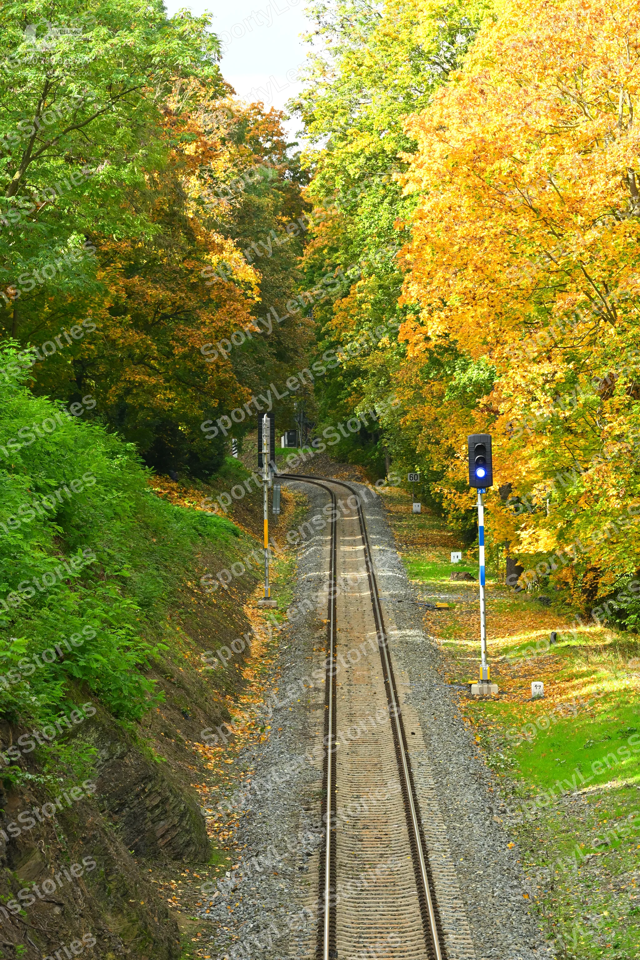 ToanSLF_7277.jpg