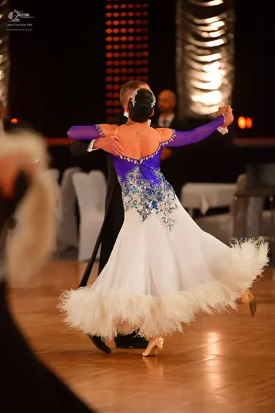Dancesport competitor: Female dancer: purple long-sleeved bodice with silver/blue sequin embellishments