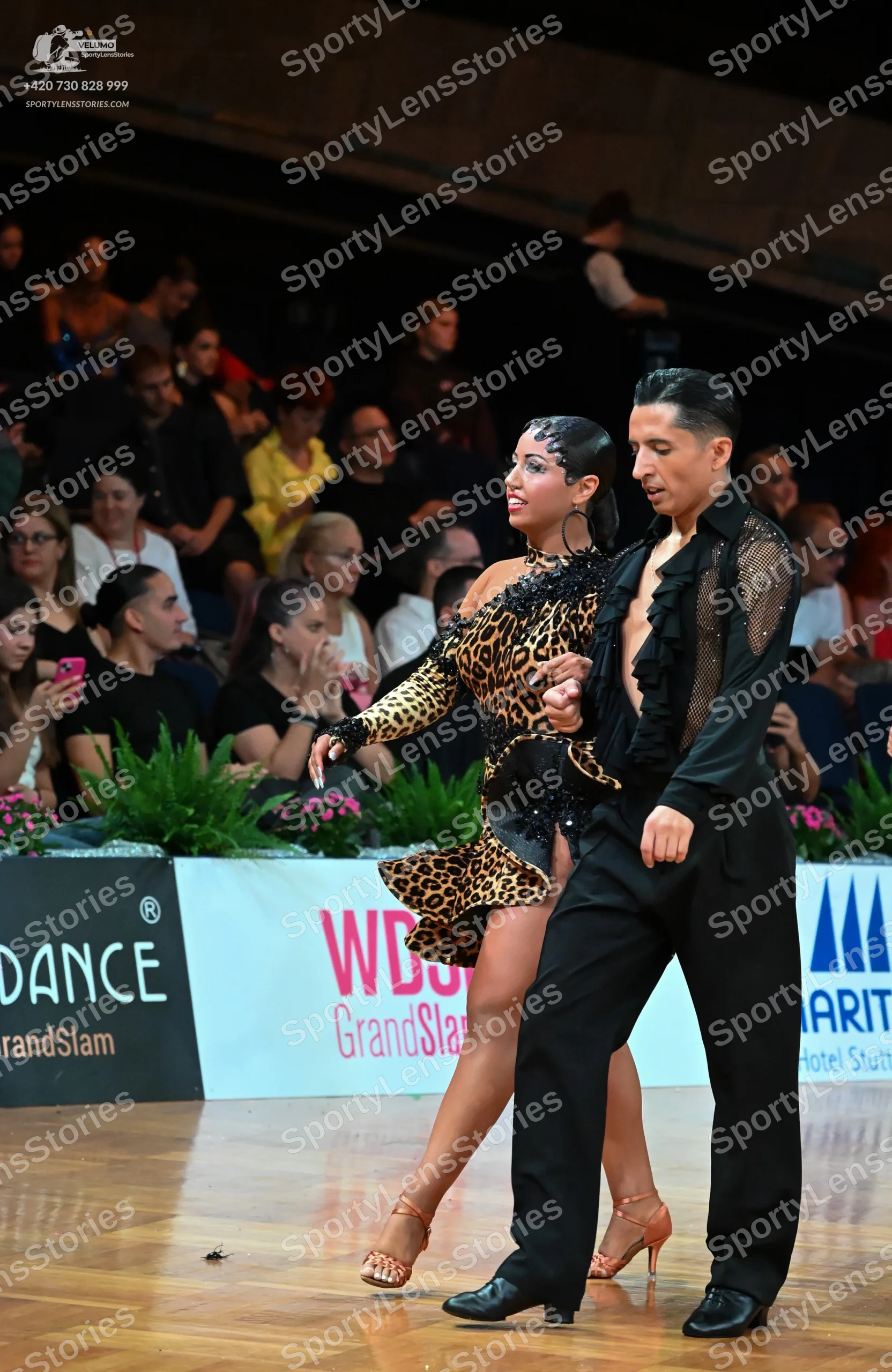 Dancesport competitor: Female dancer: leopard print latin dress with a sheer long sleeve and black sequ