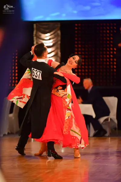 Dancesport competitor #637: Male dancer: black tailcoat, white shirt, and black trousers