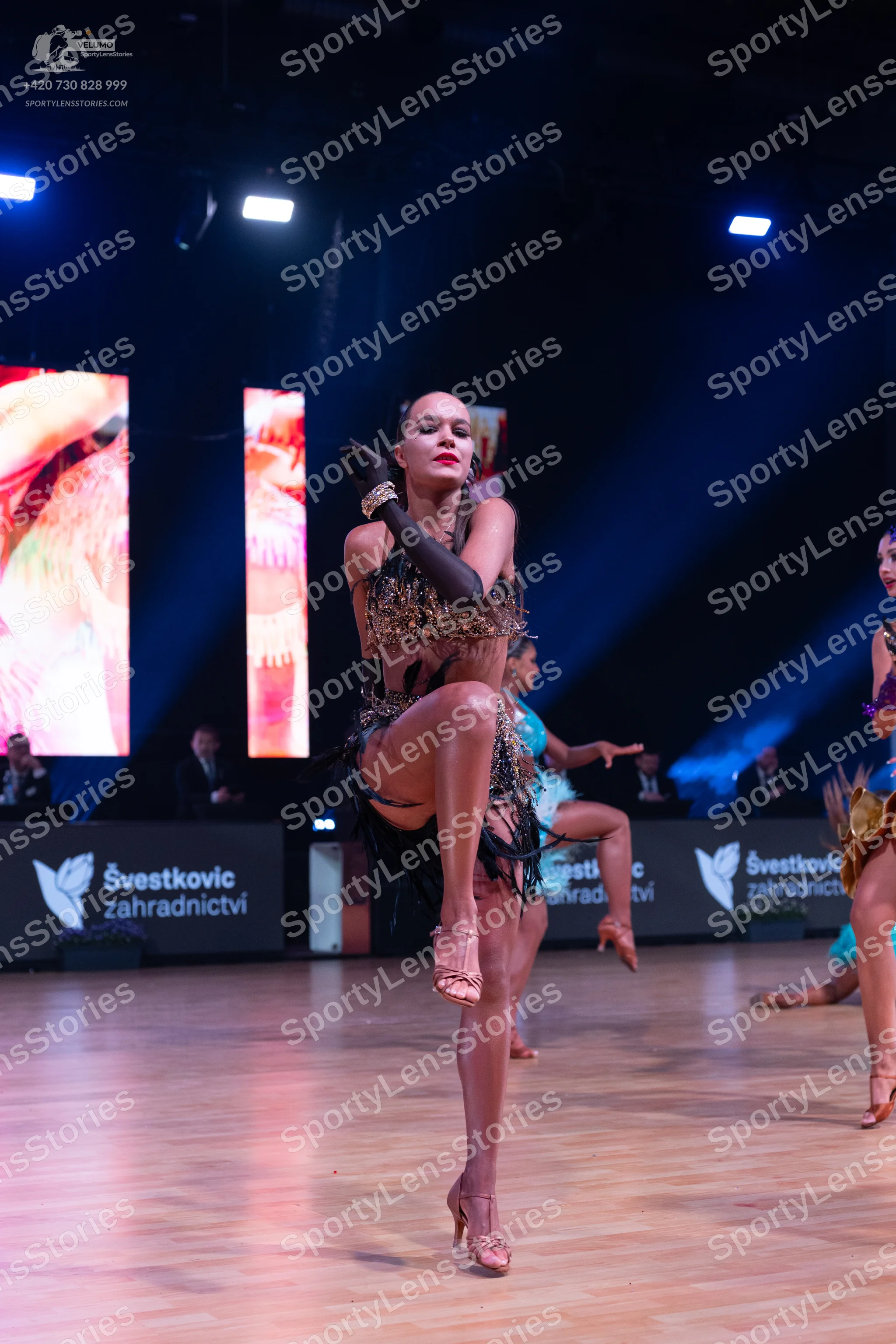 Dancesport competitor: Primary dancer: dark brown or black latin dress with sequins and fringe, long bl