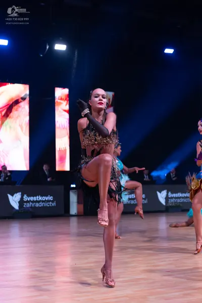 Dancesport competitor: Primary dancer: dark brown or black latin dress with sequins and fringe, long bl