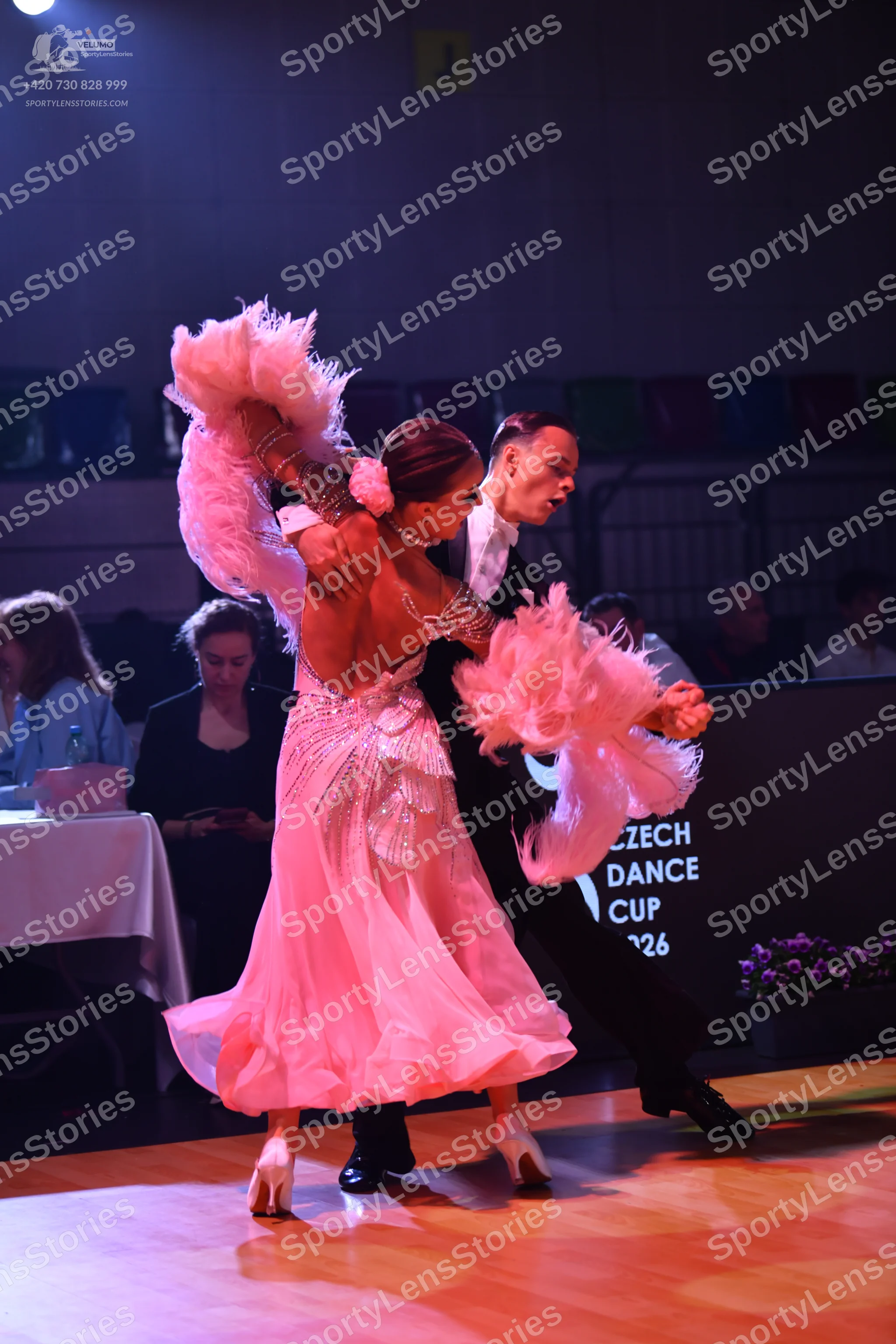 Dancesport competitor: Female dancer: pink ballroom gown with large feathery pink arm accessories and a