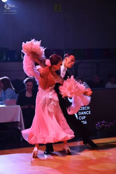Dancesport competitor: Female dancer: pink ballroom gown with large feathery pink arm accessories and a