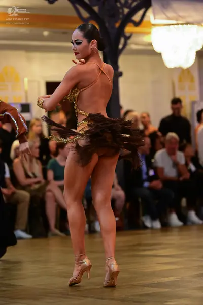 Dancesport competitor: Female dancer: gold/bronze backless Latin dress with a dark brown, layered, frin