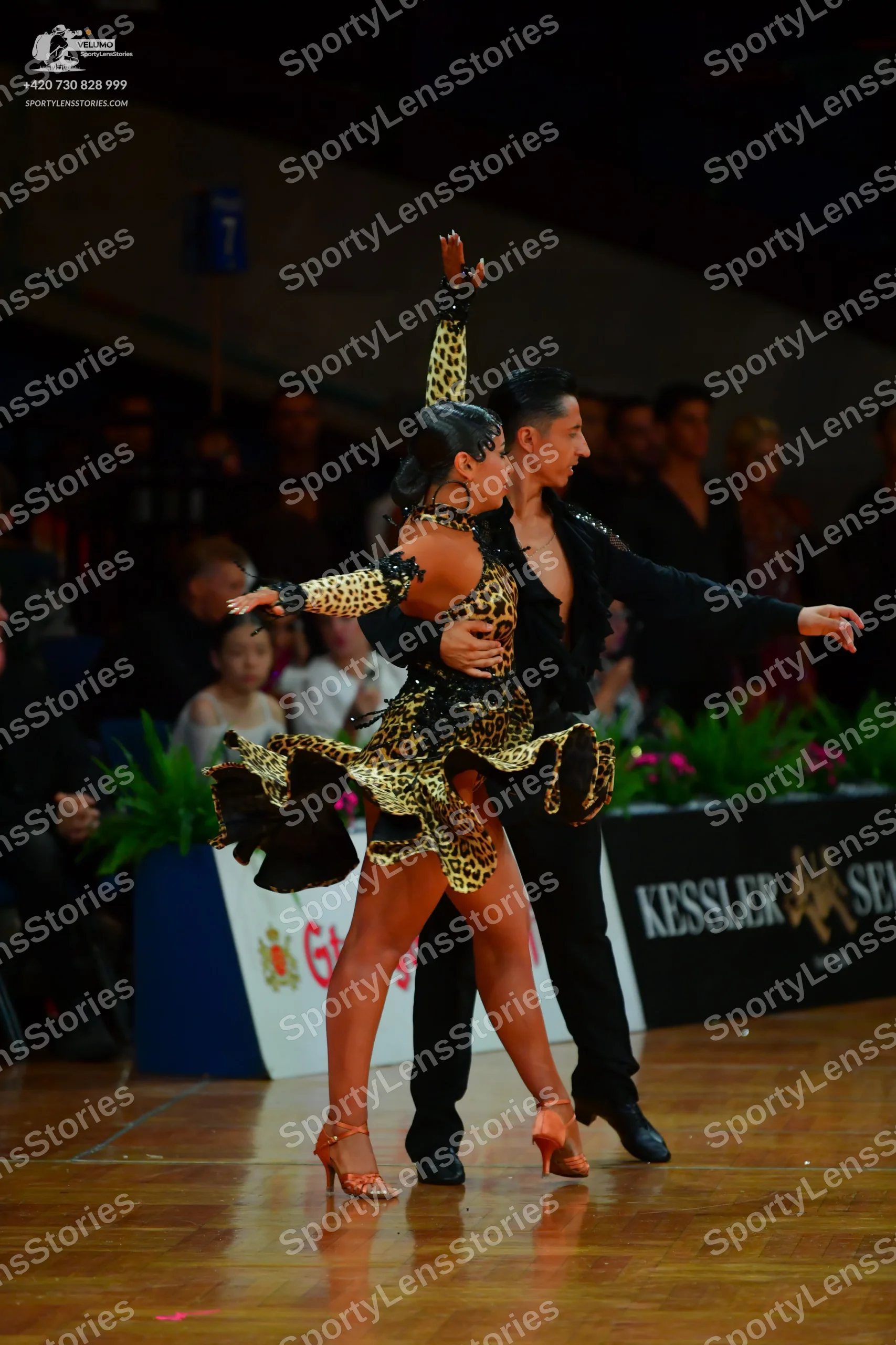 Dancesport competitor: Female dancer: leopard print Latin dress with black embellishments, a flared ski
