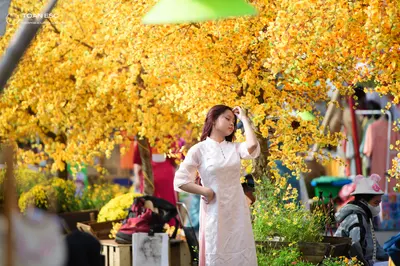 Dancesport competitor: Female dancer: white long-sleeved dress