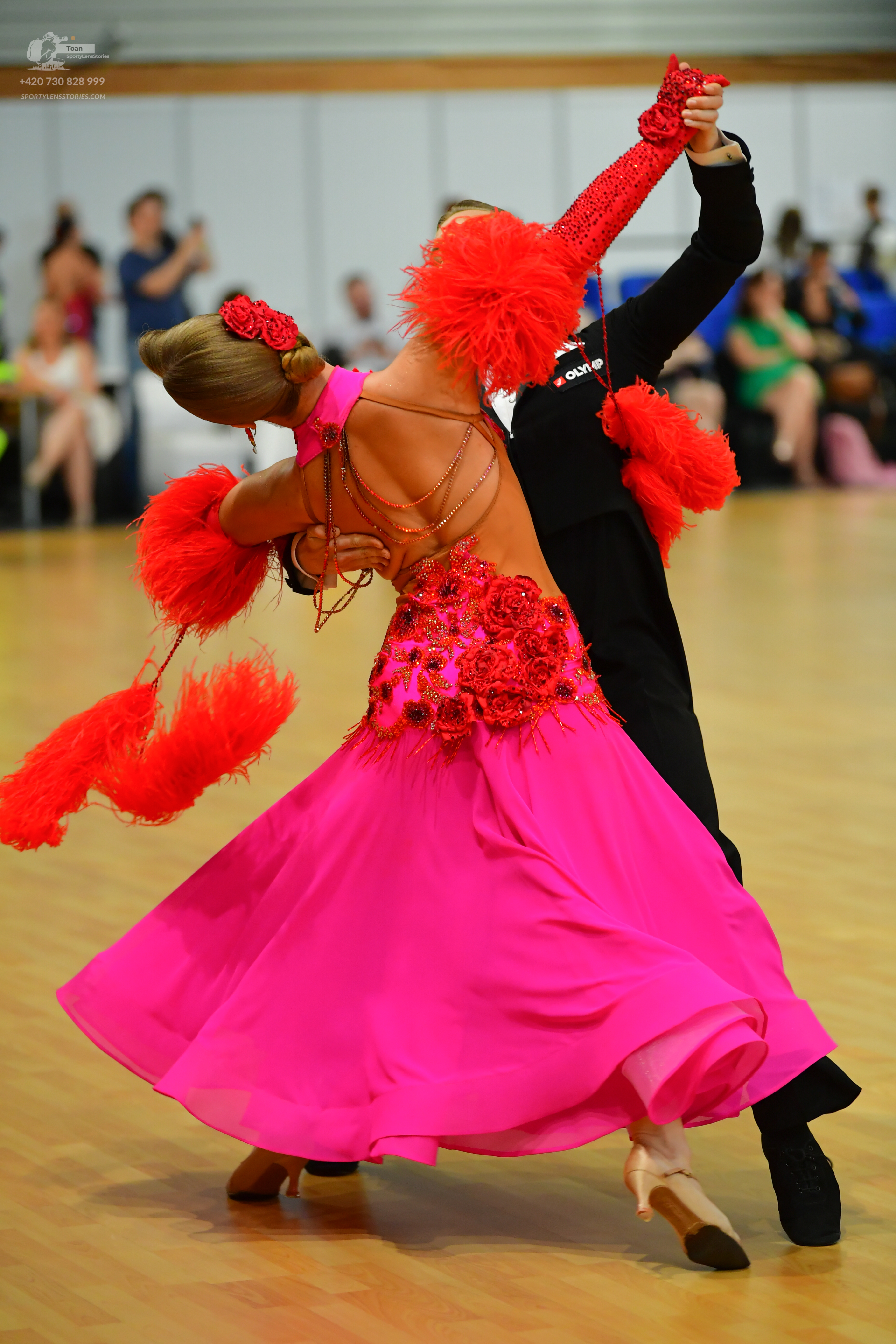 Dancesport competitor: Okay, here’s a breakdown of the dancers’ costumes in the photo, formatted as req