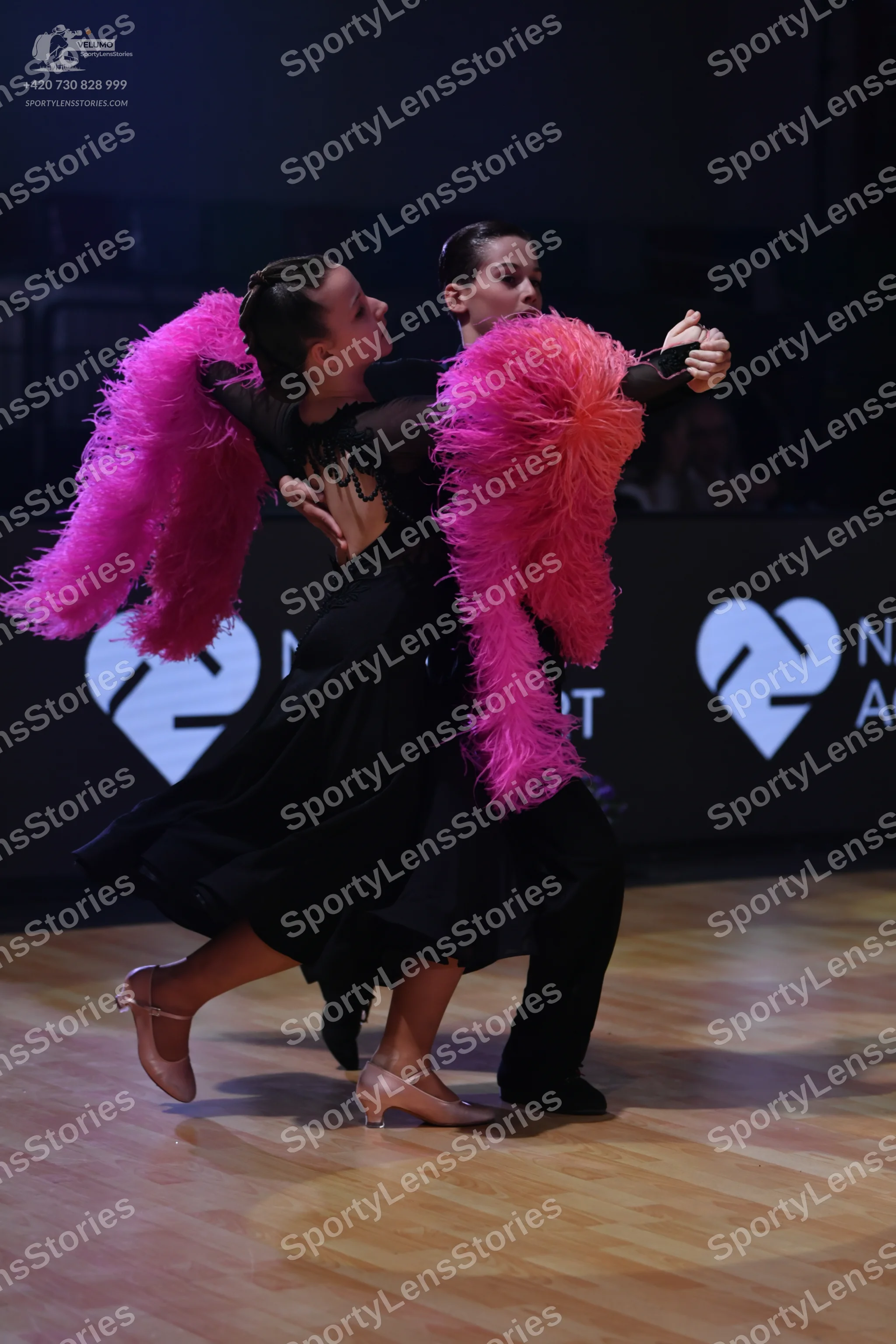 Dancesport competitor: Female dancer: black long-sleeved dress with large, voluminous bright pink feath
