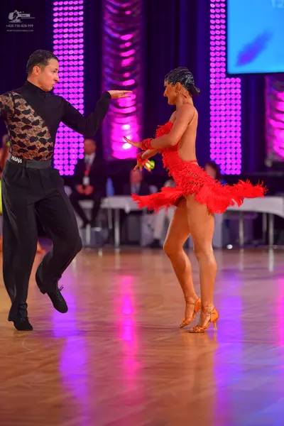 Dancesport competitor: Male dancer: black long-sleeved shirt with a bronze-colored patterned lace desig