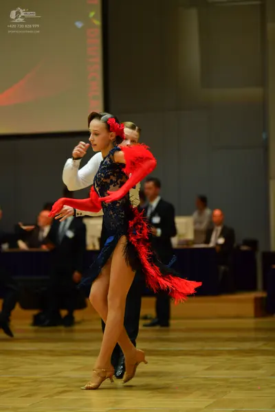 Dancesport competitor: Female dancer: navy blue lace Latin dress with large, voluminous red feather-lik